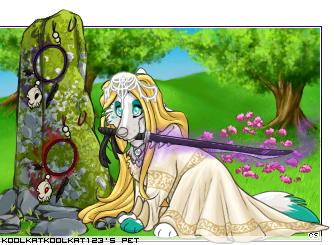 Dressed pet