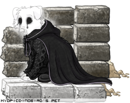 Dressed pet