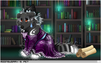 Dressed pet