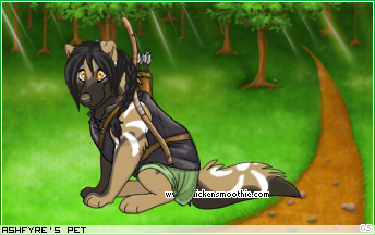 Dressed pet