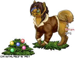 Dressed pet