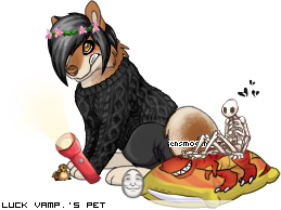 Dressed pet