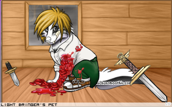 Dressed pet