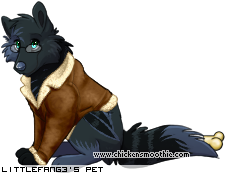 Dressed pet