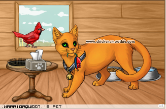 Dressed pet