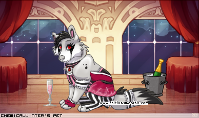 Dressed pet