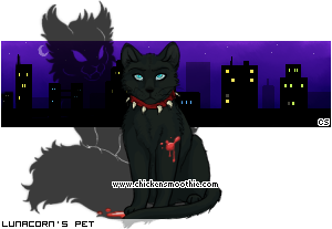 Dressed pet