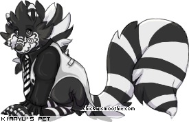 Dressed pet