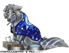 Dressed pet
