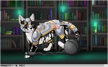 Dressed pet