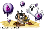 Dressed pet