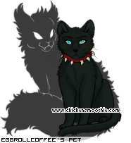 Dressed pet
