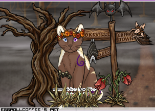 Dressed pet