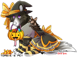 Dressed pet