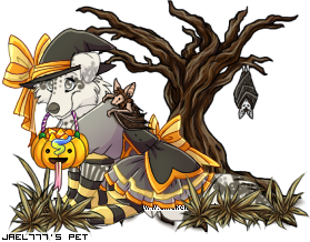 Dressed pet