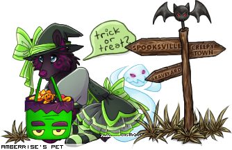 Dressed pet