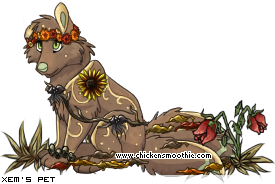 Dressed pet