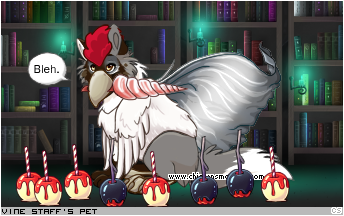 Dressed pet