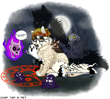Dressed pet