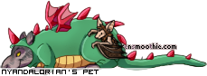 Dressed pet