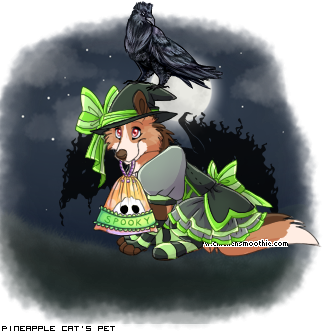 Dressed pet