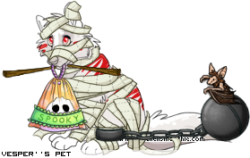 Dressed pet