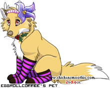 Dressed pet