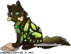 Dressed pet