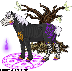 Dressed pet