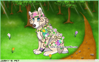 Dressed pet