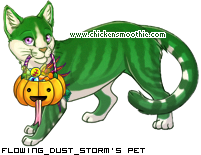 Dressed pet