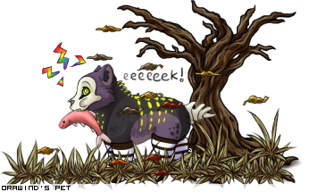 Dressed pet