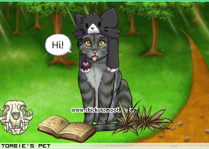 Dressed pet