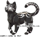 Dressed pet