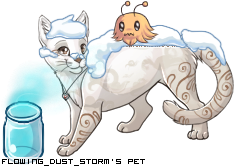 Dressed pet