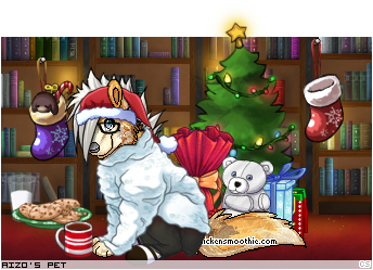 Dressed pet