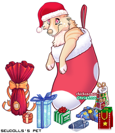 Dressed pet