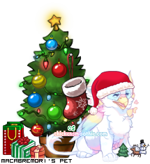 Dressed pet