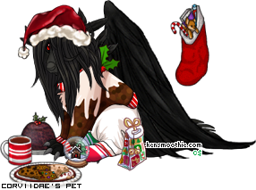 Dressed pet