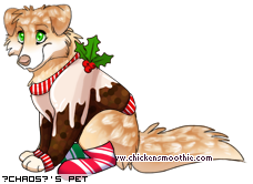 Dressed pet