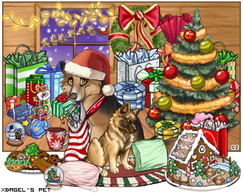 Dressed pet