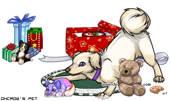 Dressed pet