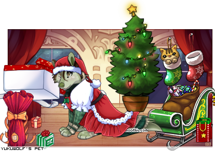 Dressed pet