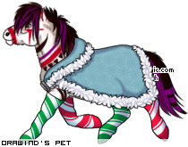 Dressed pet