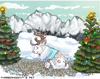 Dressed pet