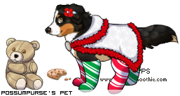 Dressed pet