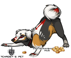Dressed pet