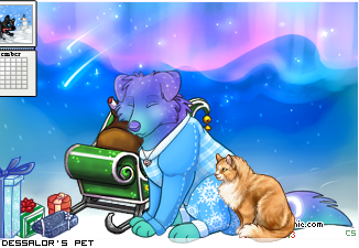 Dressed pet