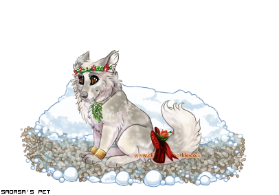Dressed pet
