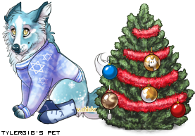 Dressed pet